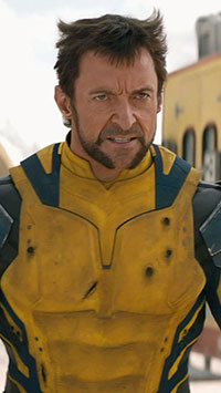 Wolverine
